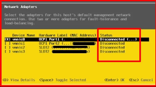 VMware ESXi and Vcenter Installation on xFusion server 21 Picture20